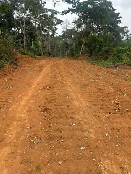 3 HECTARES DE TERRAIN TITRÉ ET LOTI À VENDRE À ÉKEKAM