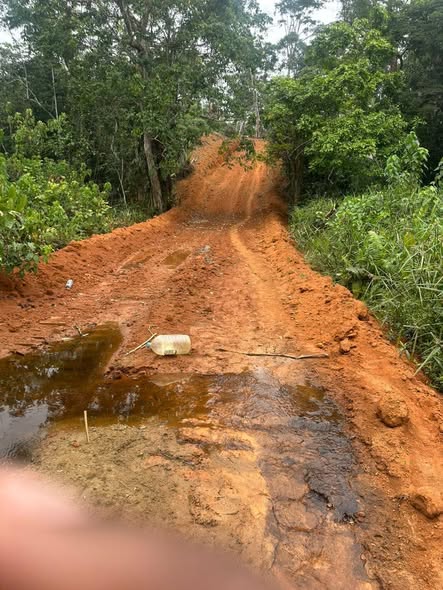 3 HECTARES DE TERRAIN TITRÉ ET LOTI À VENDRE À ÉKEKAM