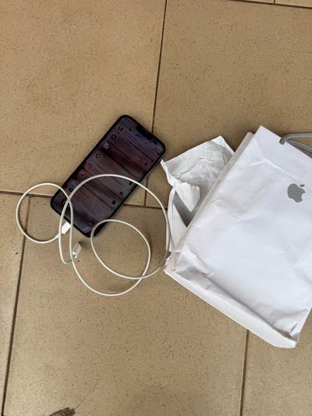 IPhone 13 Pro Max occasion des USA