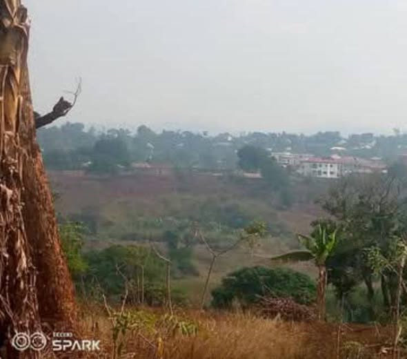 Terrain à vendre à Bafoussam3