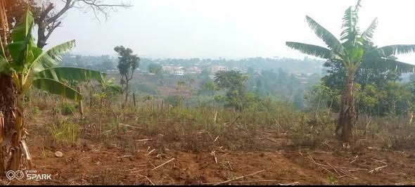 Terrain à vendre à Bafoussam3