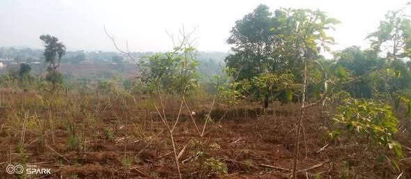 Terrain à vendre à Bafoussam3