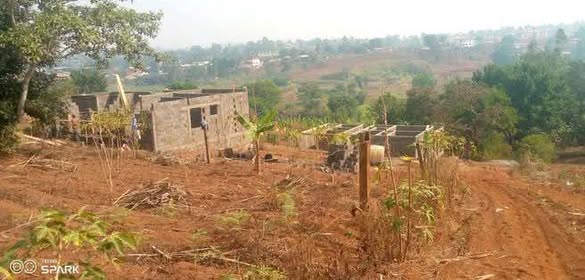 Terrain à vendre à Bafoussam3