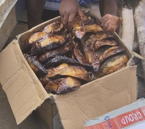 Poissons frais et fumés à Bafoussam