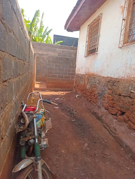 Appartement à louer à Bafoussam