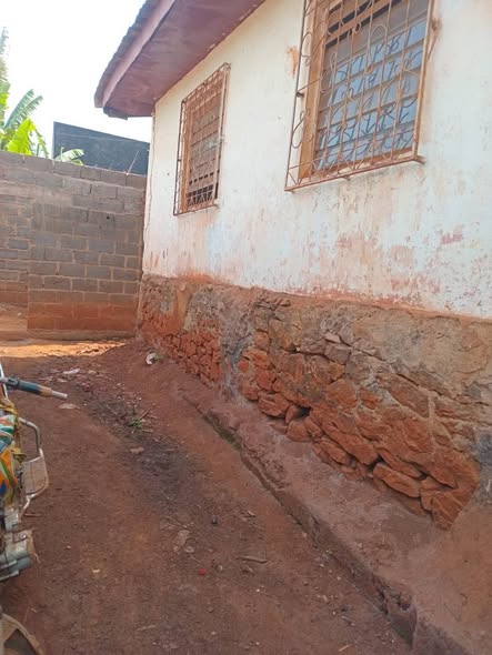 Appartement à louer à Bafoussam