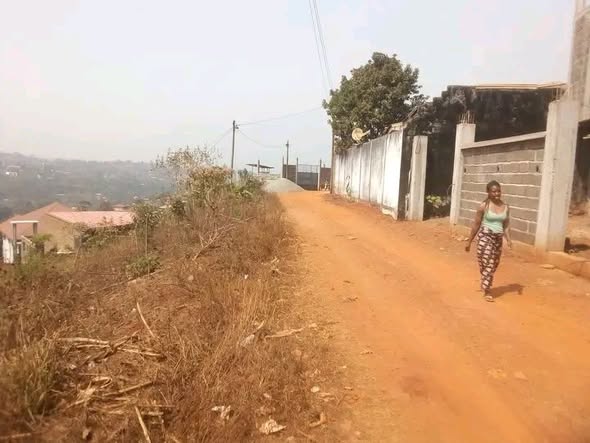 Terrain à vendre à Bafoussam