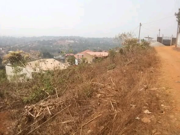 Terrain à vendre à Bafoussam