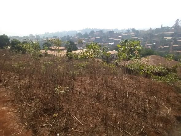 Terrain à vendre à Bafoussam