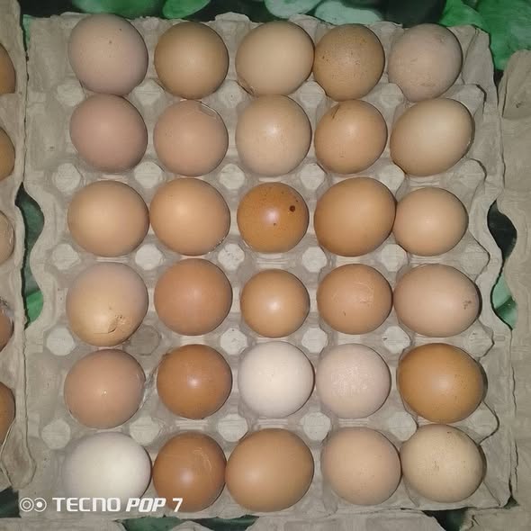 1200 f les casses disponible à Bafoussam
