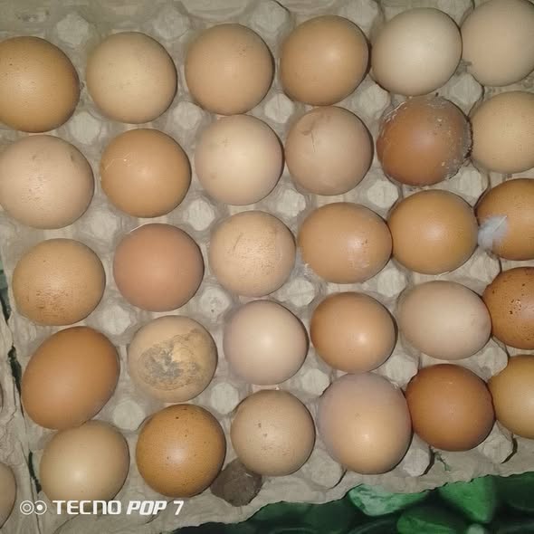 1200 f les casses disponible à Bafoussam