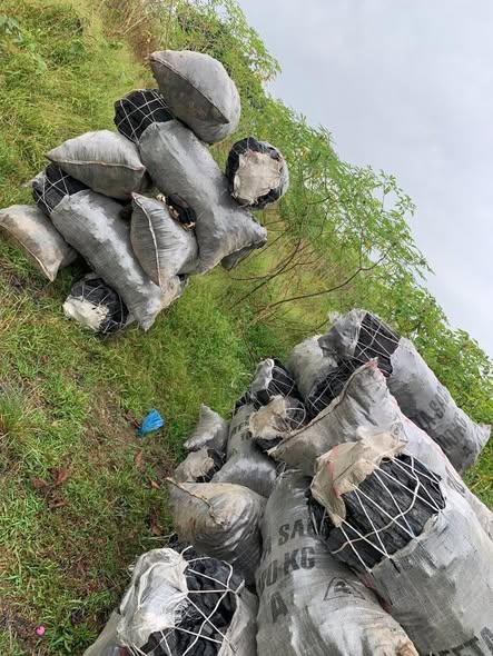 Charbon de qualité supérieure à vendre