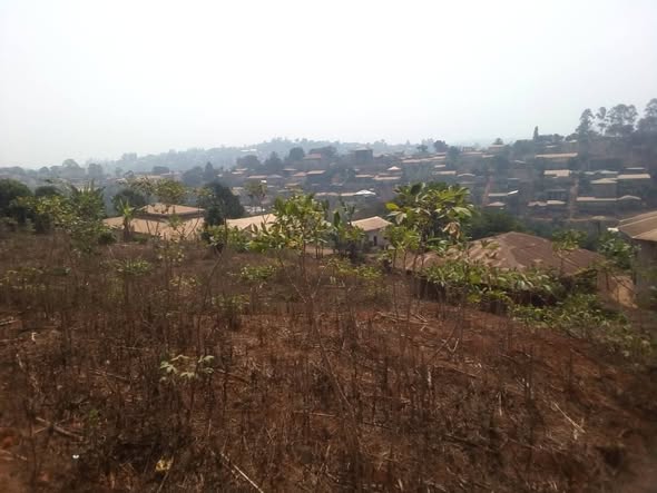 Terrain titré à vendre à Tama