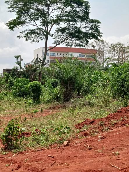 Deux lots de terrain à Soa