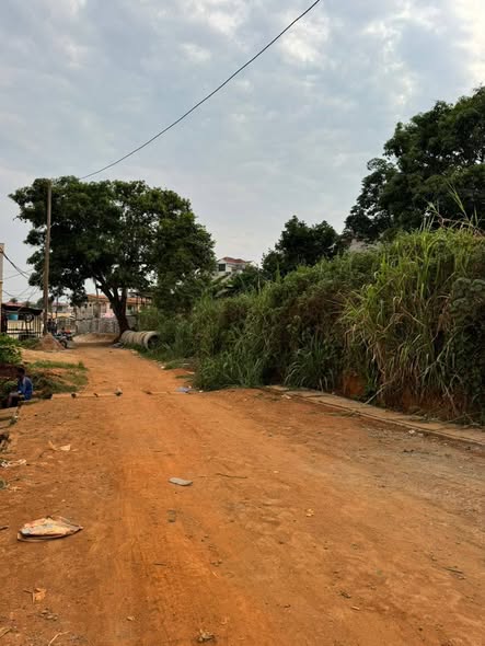 Terrain à vendre à Damas / Obobogo
