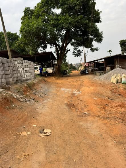 Terrain à vendre à Damas / Obobogo