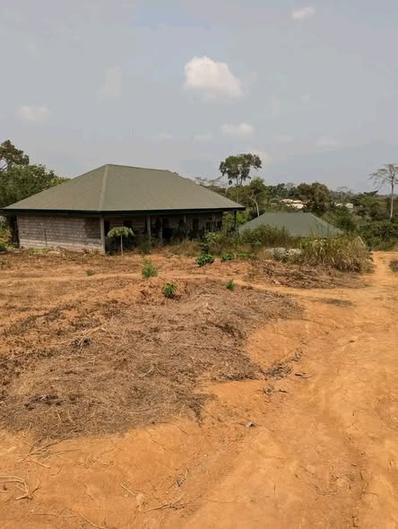 Terrain titré de 500m² à vendre à NKOMDAMBA