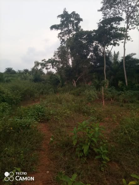 Terrain à vendre à BA'ABA
