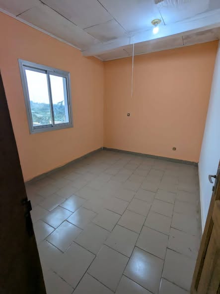 Appartement à louer à YDE Eleveur