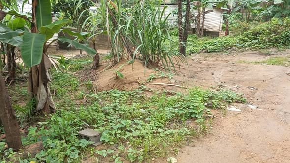 Terrain de 200m² à Yassa