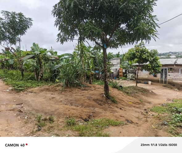 Terrain de 200m² à Yassa