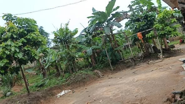 Terrain de 200m² à Yassa