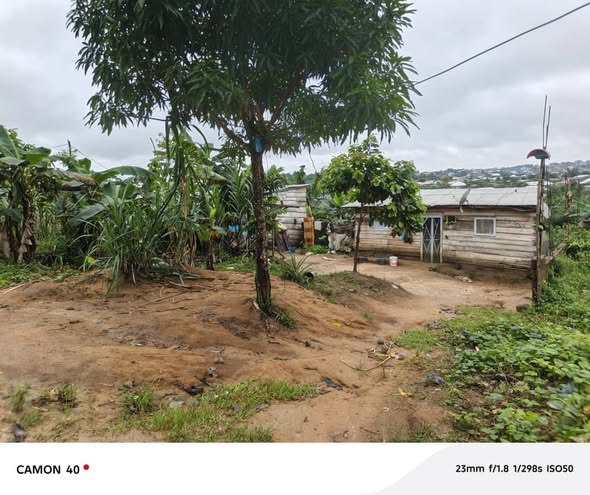 Terrain de 200m² à Yassa