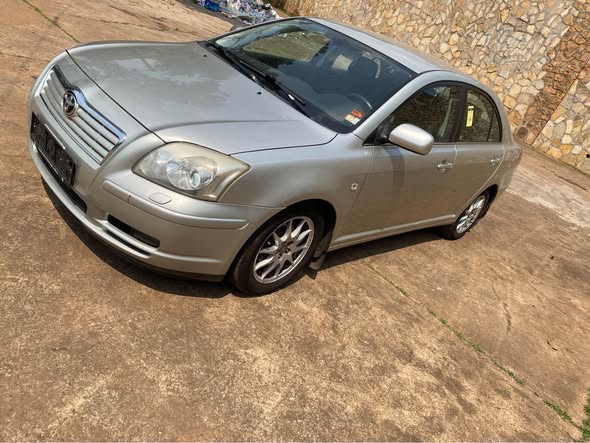 TOYOTA AVENSIS TETE DE COCHONS LEAFBACK année 2005