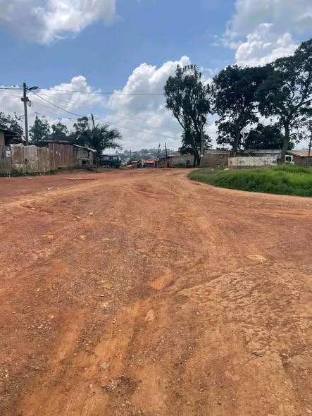 Terrains à vendre à Bafoussam Kouoguo