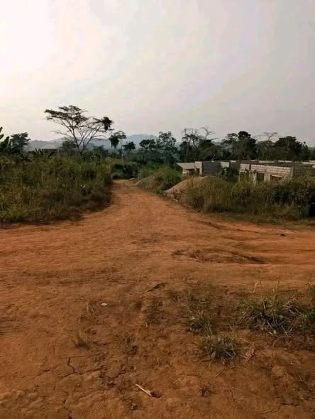 Terrain titré de 637m² à Yaoundé NYOM