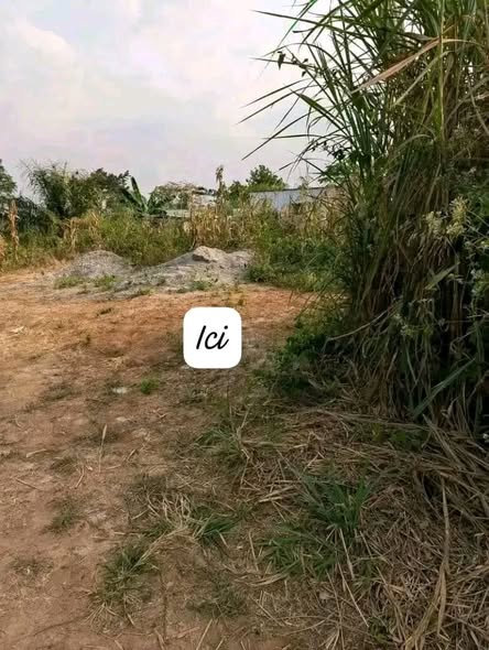 Terrain titré de 637m² à Yaoundé NYOM