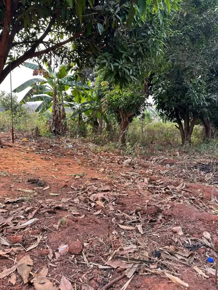 Terrain à vendre à Yaoundé Fougerolles