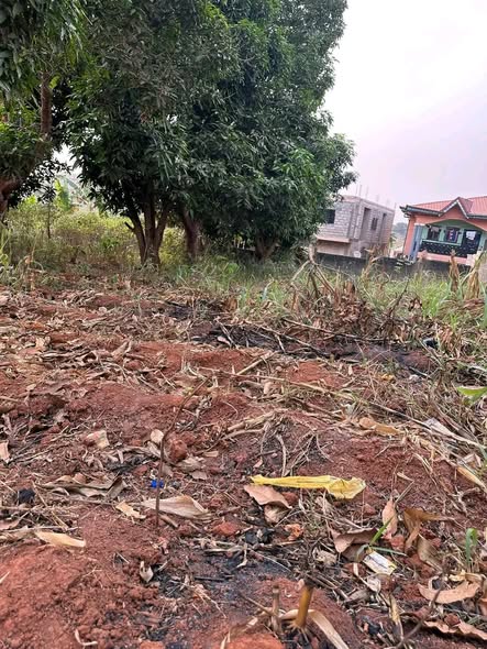 Terrain à vendre à Yaoundé Fougerolles