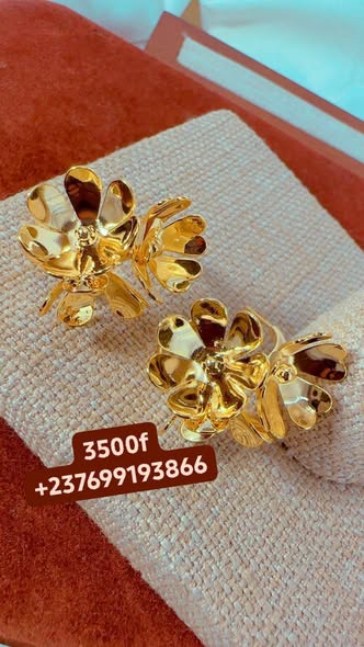 Boucles d'oreilles de qualité