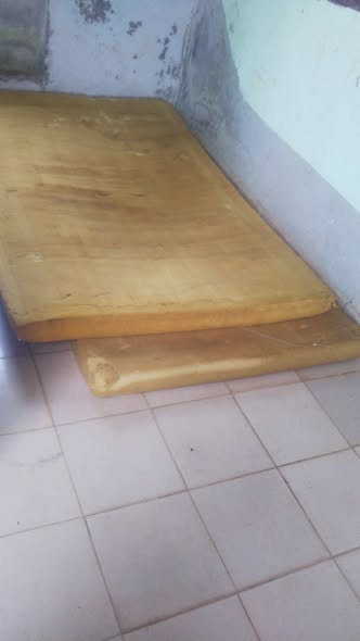 Ib Dschang uniquement