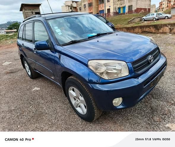 Toyota RAV4 Année 2005 Occasion d'Europe