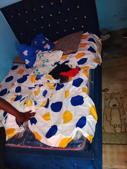 Lit et porte télé à vendre