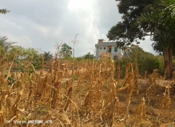 Terrain à vendre à Yaoundé
