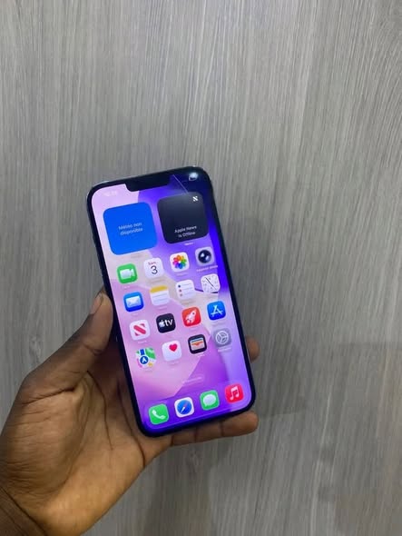 iPhone 13 Pro 256Go en bon état