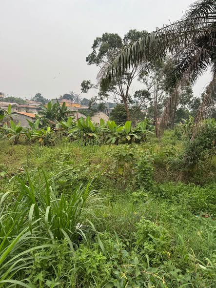 Terrain titré à vendre à Obobogo