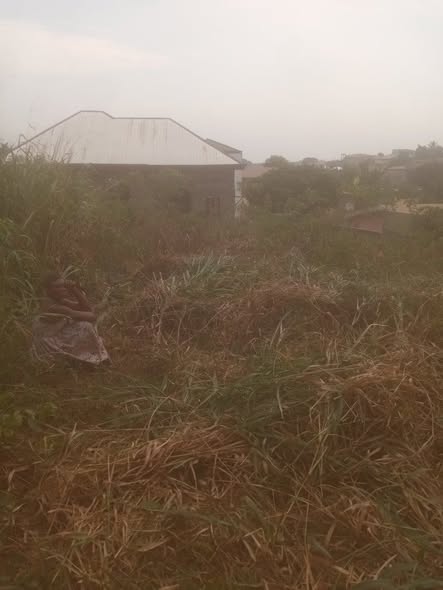 500m2 titré à vendre derrière Santa Lucia Nkoabang