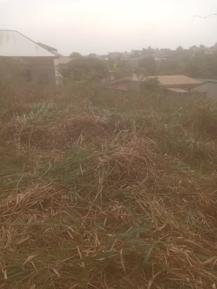 500m2 titré à vendre derrière Santa Lucia Nkoabang