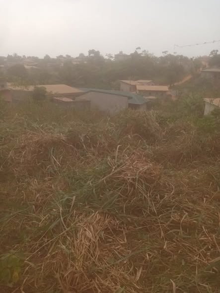 500m2 titré à vendre derrière Santa Lucia Nkoabang