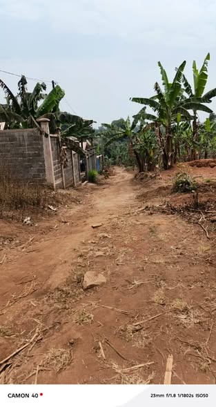 Terrain à vendre à Bafoussam