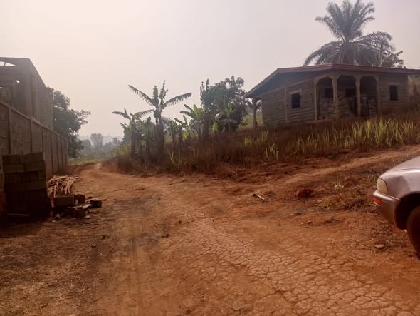 Terrain non titré à vendre à Bafoussam