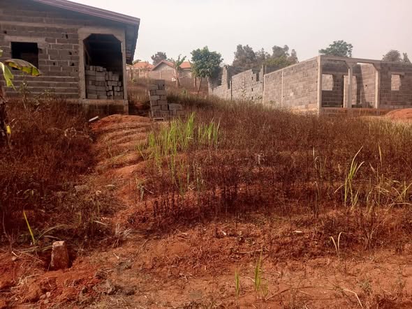 Terrain non titré à vendre à Bafoussam