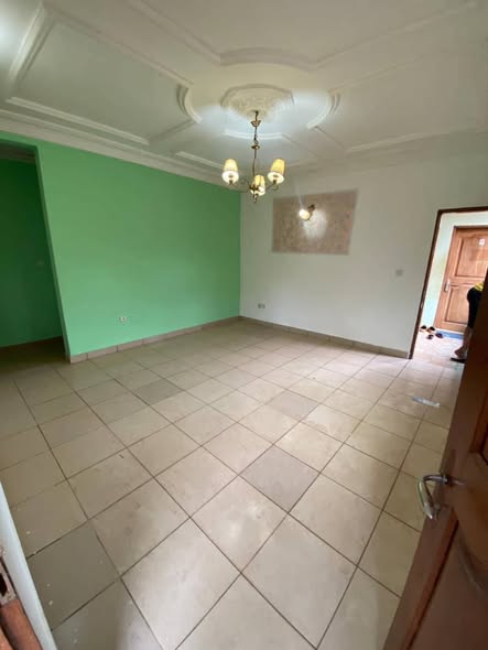 Appart VIP à louer à YDE Emana