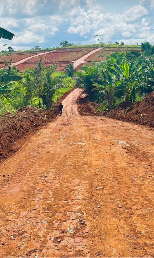 Vente flash Terrain à Yaoundé