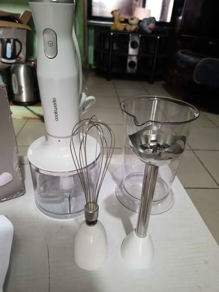 Mixeur Plongeant Multifonction 600W