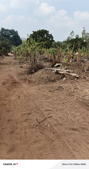 Terrain à vendre à Bafoussam